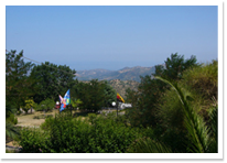 subtropische Vegetation